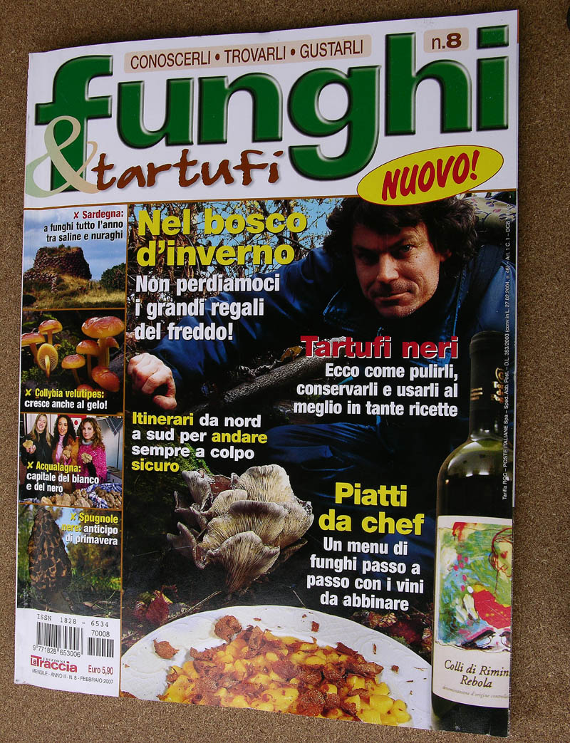 A caccia di Pleurotus ostreatus.....chiamati i  geloni...